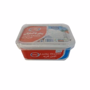 پنیر لاکتیکی رامک 270 گرمی