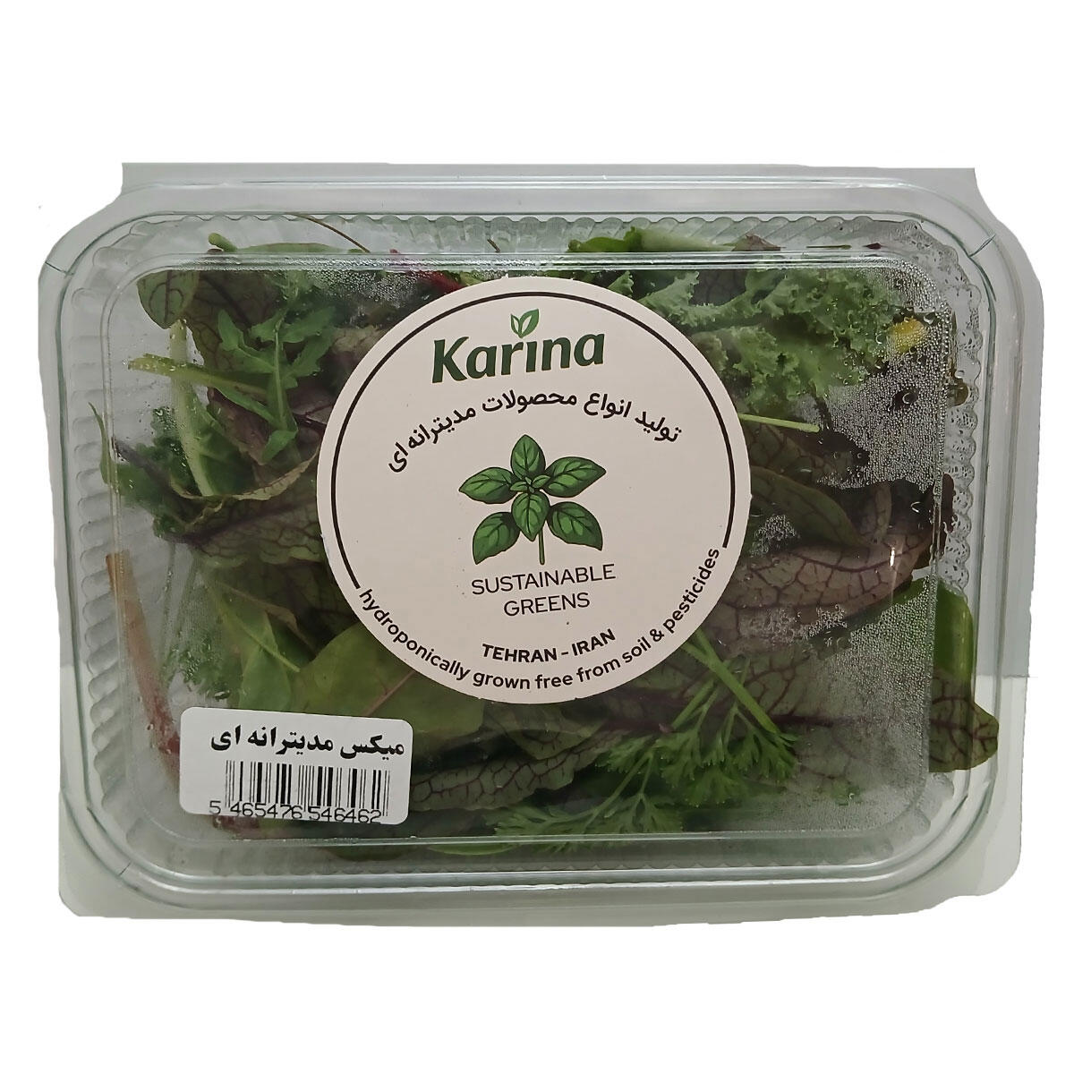 سبزی-خوردن-کارینا.jpg